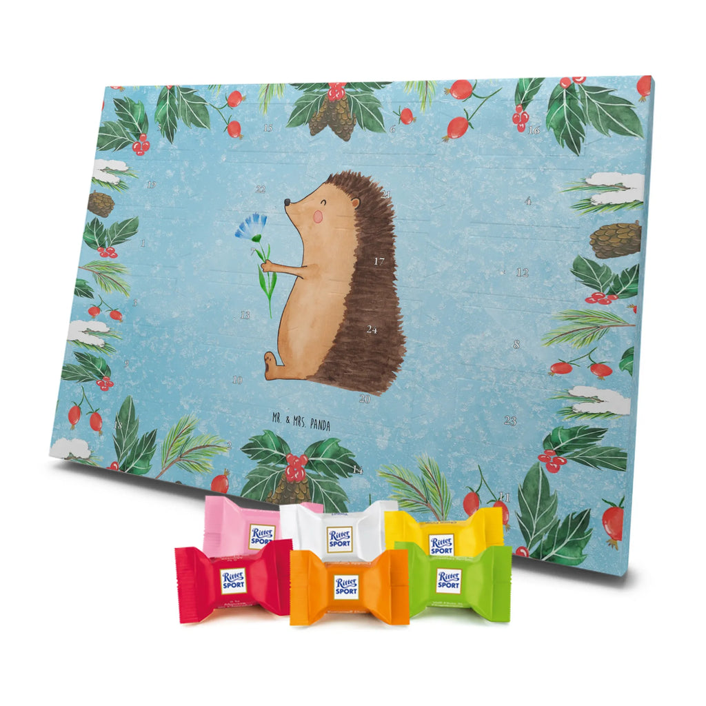 Chocolate advent calendar Hedgehog Flower gift ideas, gifts, small animals, good mood, cute, funny sayings, cute animal motives, hand drawn, special gifts, card, animal lover, hospital, illness, get well soon, recovery wishes, sick, visit
