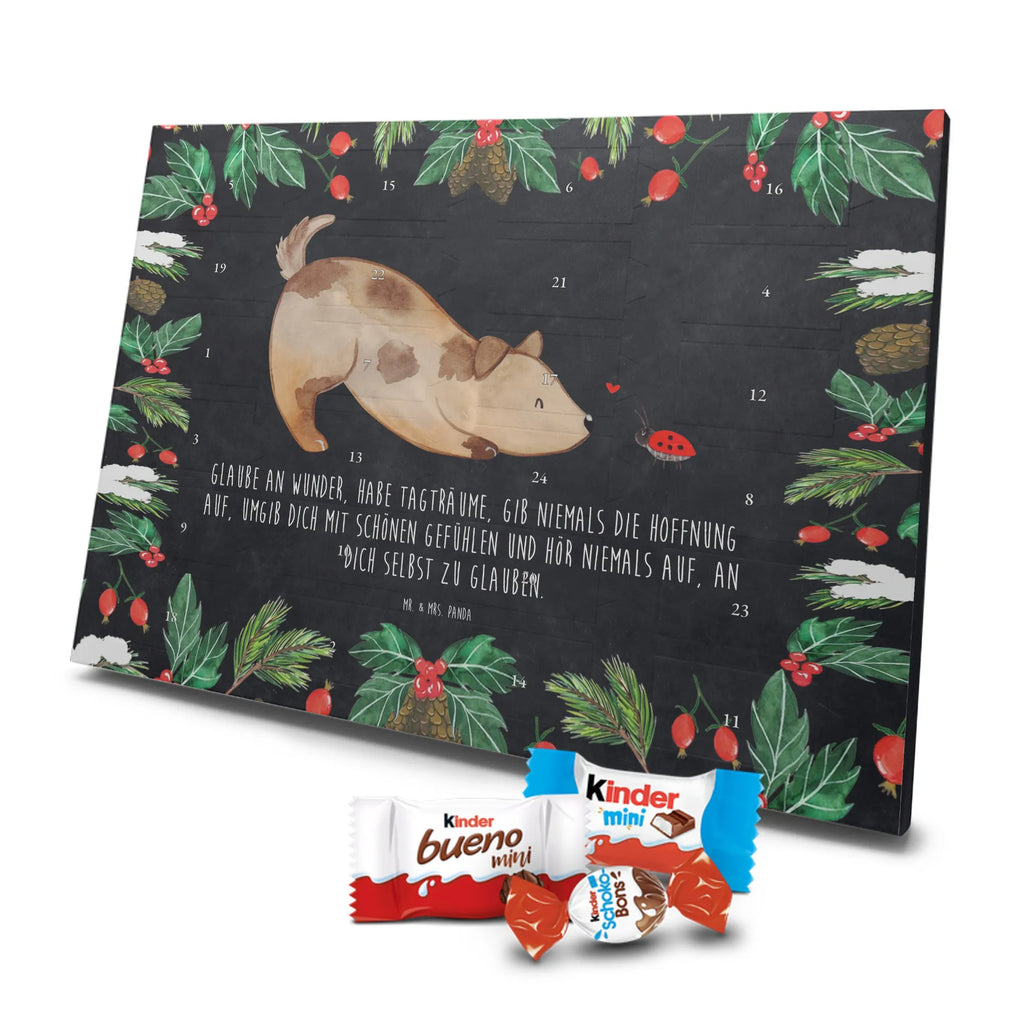 Chocolate advent calendar Dog ladybug mutt, dog sayings, love dogs, dog mama, funny gifts for dog owners, woof, what do you give a dog lover, dog breed, Christmas gifts for dogs, gifts for dogs, bag with dog print, love for dogs, hound, dog decorative items, Mongrel dog, Dog slogan, Ladybird, Sayings, Mongrel, Dogs