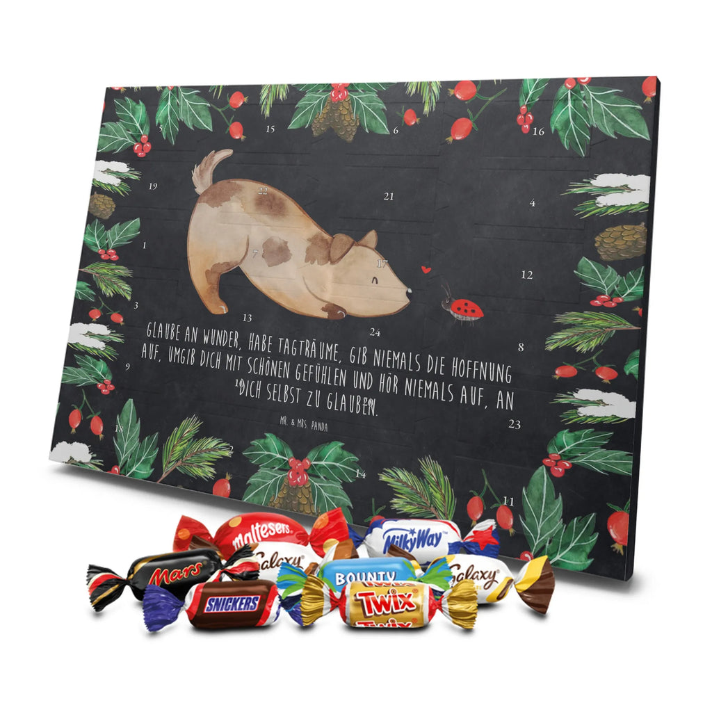 Chocolate advent calendar Dog ladybug mutt, dog sayings, love dogs, dog mama, funny gifts for dog owners, woof, what do you give a dog lover, dog breed, Christmas gifts for dogs, gifts for dogs, bag with dog print, love for dogs, hound, dog decorative items, Mongrel dog, Dog slogan, Ladybird, Sayings, Mongrel, Dogs
