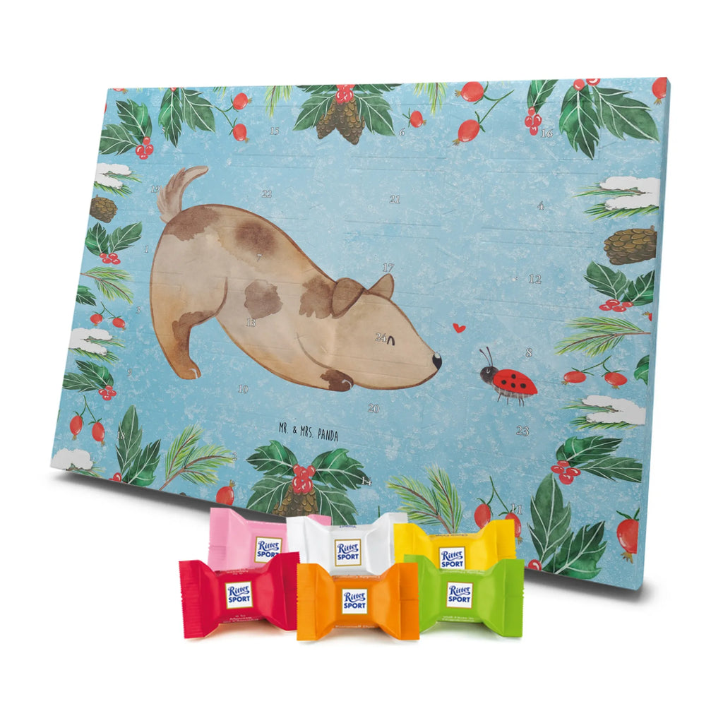 Chocolate advent calendar Dog ladybug mutt, dog sayings, love dogs, dog mama, funny gifts for dog owners, woof, what do you give a dog lover, dog breed, Christmas gifts for dogs, gifts for dogs, bag with dog print, love for dogs, hound, dog decorative items, Mongrel dog, Dog slogan, Ladybird, Sayings, Mongrel, Dogs
