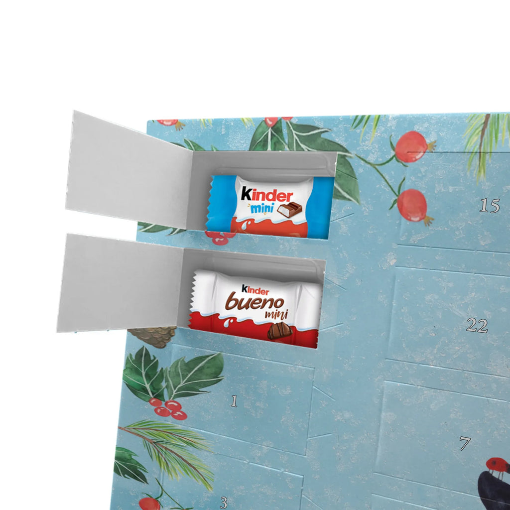 Chocolate advent calendar Penguin ladybug North Pole, Penguins, wonder, joy of life, penguins, ladybird, joy