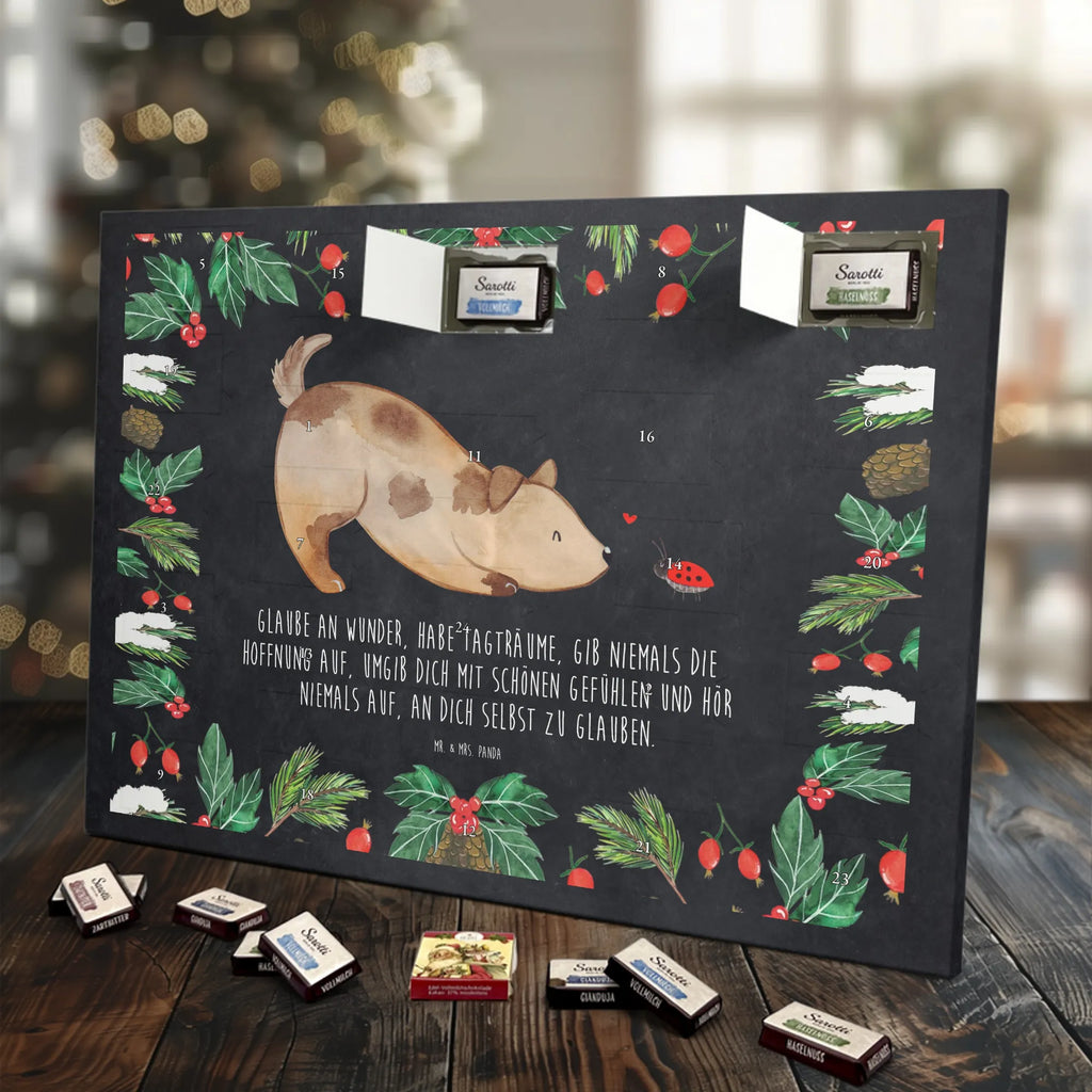 Chocolate advent calendar Dog ladybug mutt, dog sayings, love dogs, dog mama, funny gifts for dog owners, woof, what do you give a dog lover, dog breed, Christmas gifts for dogs, gifts for dogs, bag with dog print, love for dogs, hound, dog decorative items, Mongrel dog, Dog slogan, Ladybird, Sayings, Mongrel, Dogs