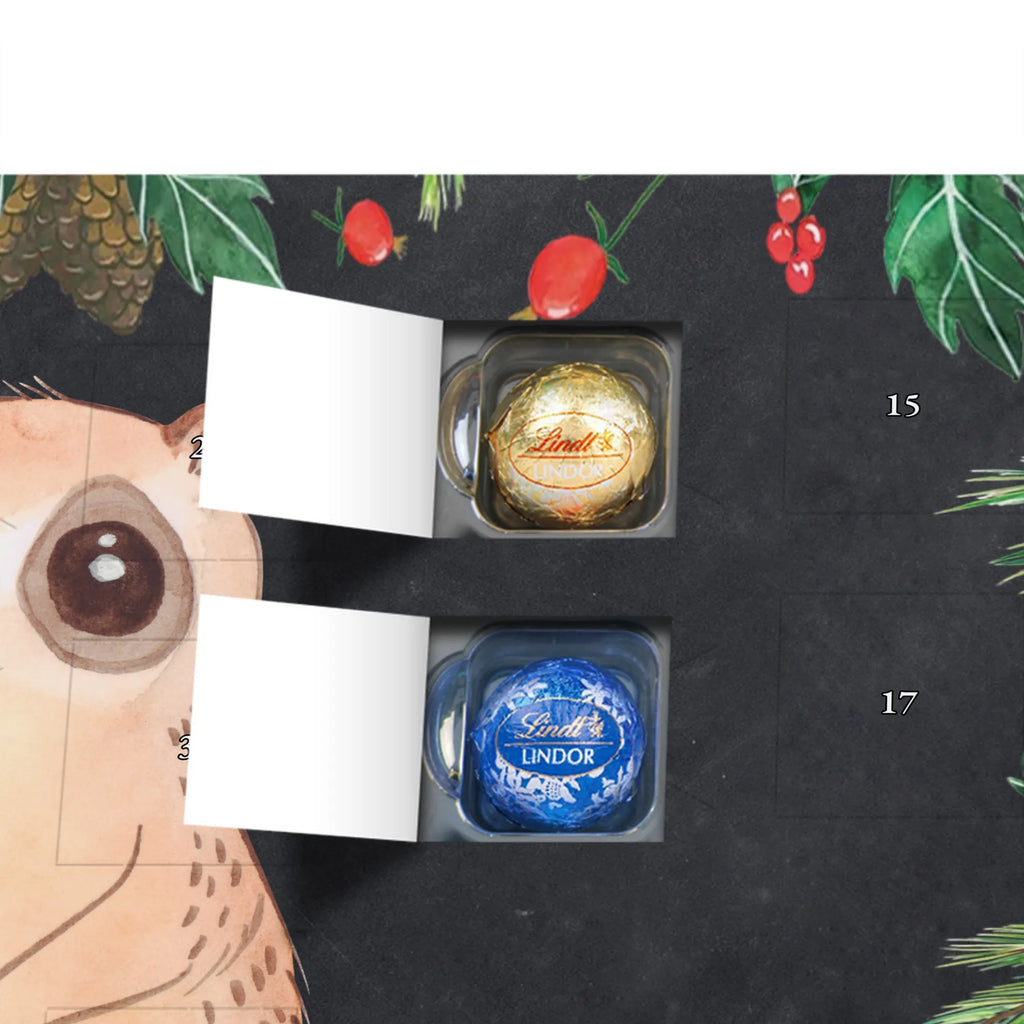 Chocolate advent calendar Slow loris Happy gift ideas, gifts, small animals, good mood, cute, funny sayings, cute animal motives, hand drawn, special gifts, card, animal lover