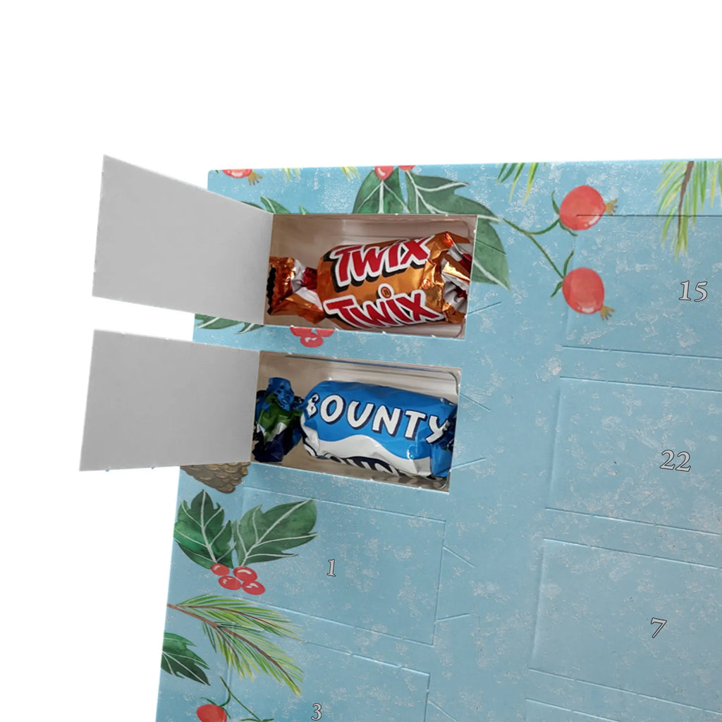 Chocolate advent calendar Penguin ladybug North Pole, Penguins, wonder, joy of life, penguins, ladybird, joy