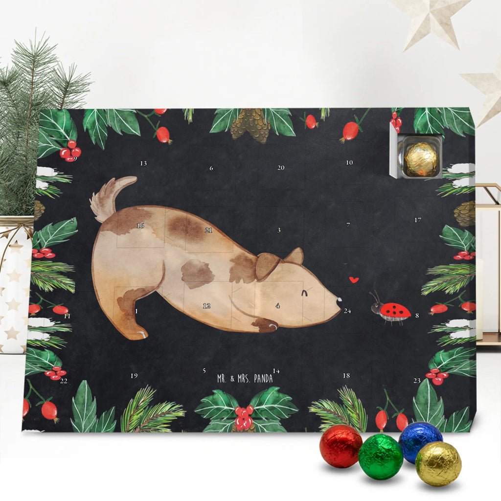 Chocolate advent calendar Dog ladybug mutt, dog sayings, love dogs, dog mama, funny gifts for dog owners, woof, what do you give a dog lover, dog breed, Christmas gifts for dogs, gifts for dogs, bag with dog print, love for dogs, hound, dog decorative items, Mongrel dog, Dog slogan, Ladybird, Sayings, Mongrel, Dogs