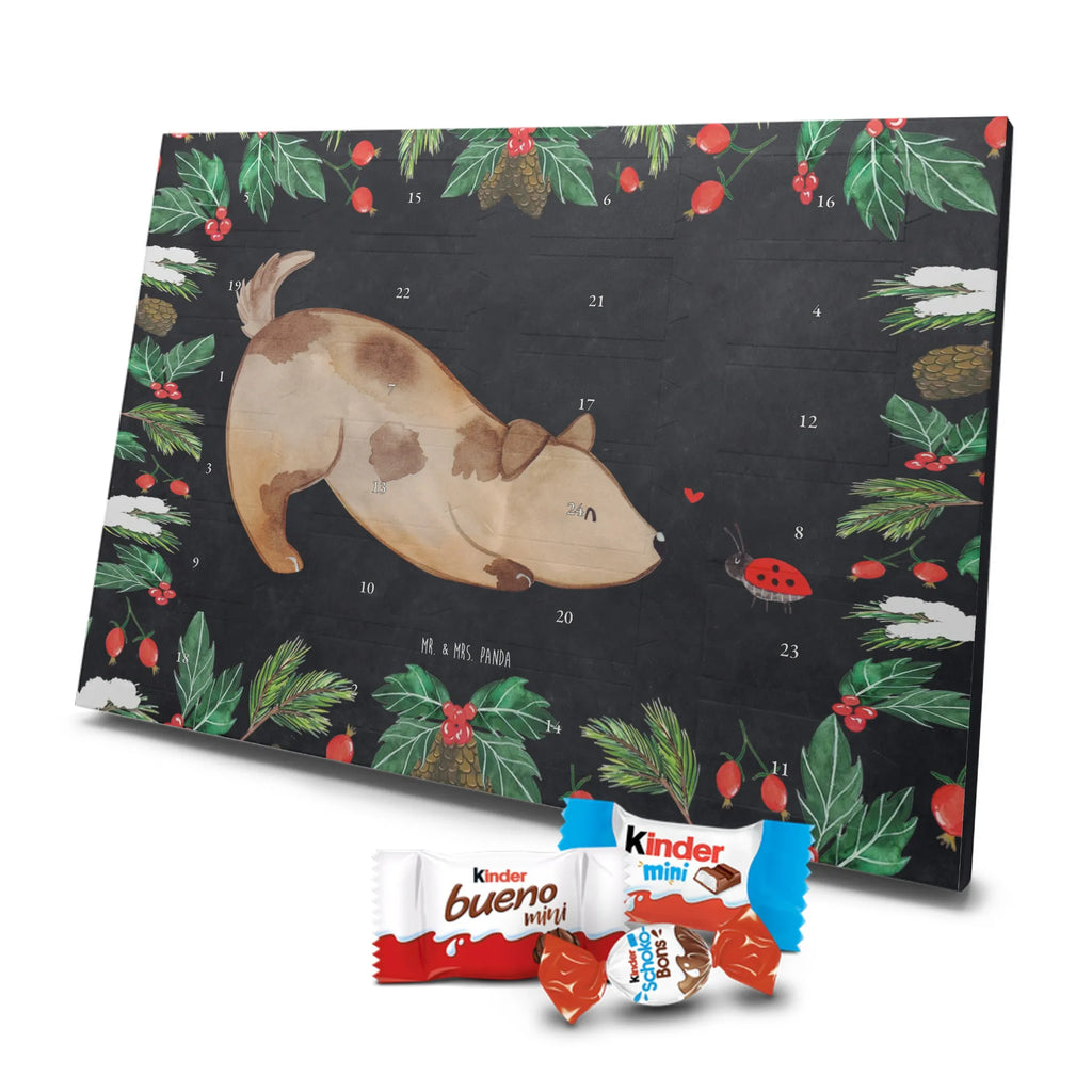 Chocolate advent calendar Dog ladybug mutt, dog sayings, love dogs, dog mama, funny gifts for dog owners, woof, what do you give a dog lover, dog breed, Christmas gifts for dogs, gifts for dogs, bag with dog print, love for dogs, hound, dog decorative items, Mongrel dog, Dog slogan, Ladybird, Sayings, Mongrel, Dogs