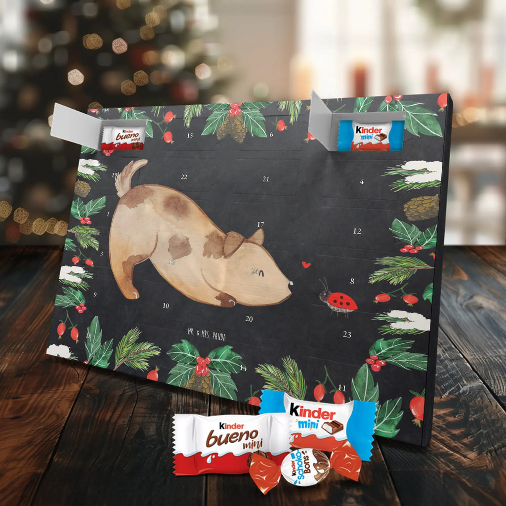 Chocolate advent calendar Dog ladybug mutt, dog sayings, love dogs, dog mama, funny gifts for dog owners, woof, what do you give a dog lover, dog breed, Christmas gifts for dogs, gifts for dogs, bag with dog print, love for dogs, hound, dog decorative items, Mongrel dog, Dog slogan, Ladybird, Sayings, Mongrel, Dogs