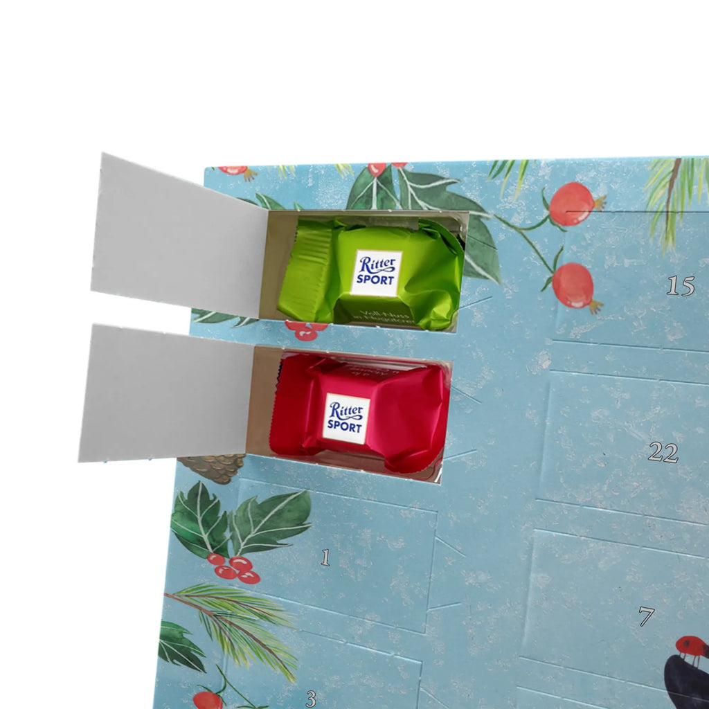 Chocolate advent calendar Penguin ladybug North Pole, Penguins, wonder, joy of life, penguins, ladybird, joy