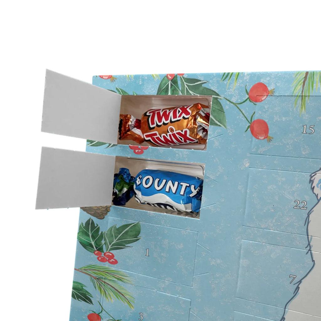 Weihnachts Kalender Eisbär Faul weihnachtskalender schoko, adventskalender schoko, kalender schokolade, Schoko Adventskalender, schokoladen kalender, schokoladenkalender, schokokalender, Schoko-Adventskalender, Schokoladen-Adventskalender, schokolade adventskalender, Schokoladen-Weihnachtskalender, Adventskalender Schokolade, Schokoladen Adventskalender, kalender weihnachten, adventskalender pralinen, Weihnachts Kalender, Weihnachtskalender, süßigkeiten adventskalender, schoko kalender, Adventskalender, schoko weihnachtskalender, Weihnachten Adventskalender, adventskalender süßigkeiten, Weihnachtskalender Schokolade, pralinen adventskalender, süßigkeiten kalender, Teddybär, Teddy, Bär, Relaxen, Faul, Büro, Nordpol, Arbeitsplatz, Homeoffice, Entspannen, Arbeit, Bürojob, Eisbär