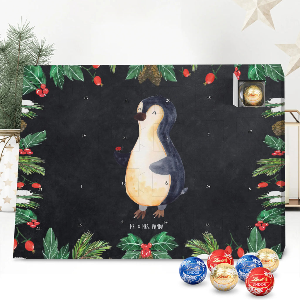 Chocolate advent calendar Penguin ladybug North Pole, Penguins, wonder, joy of life, penguins, ladybird, joy