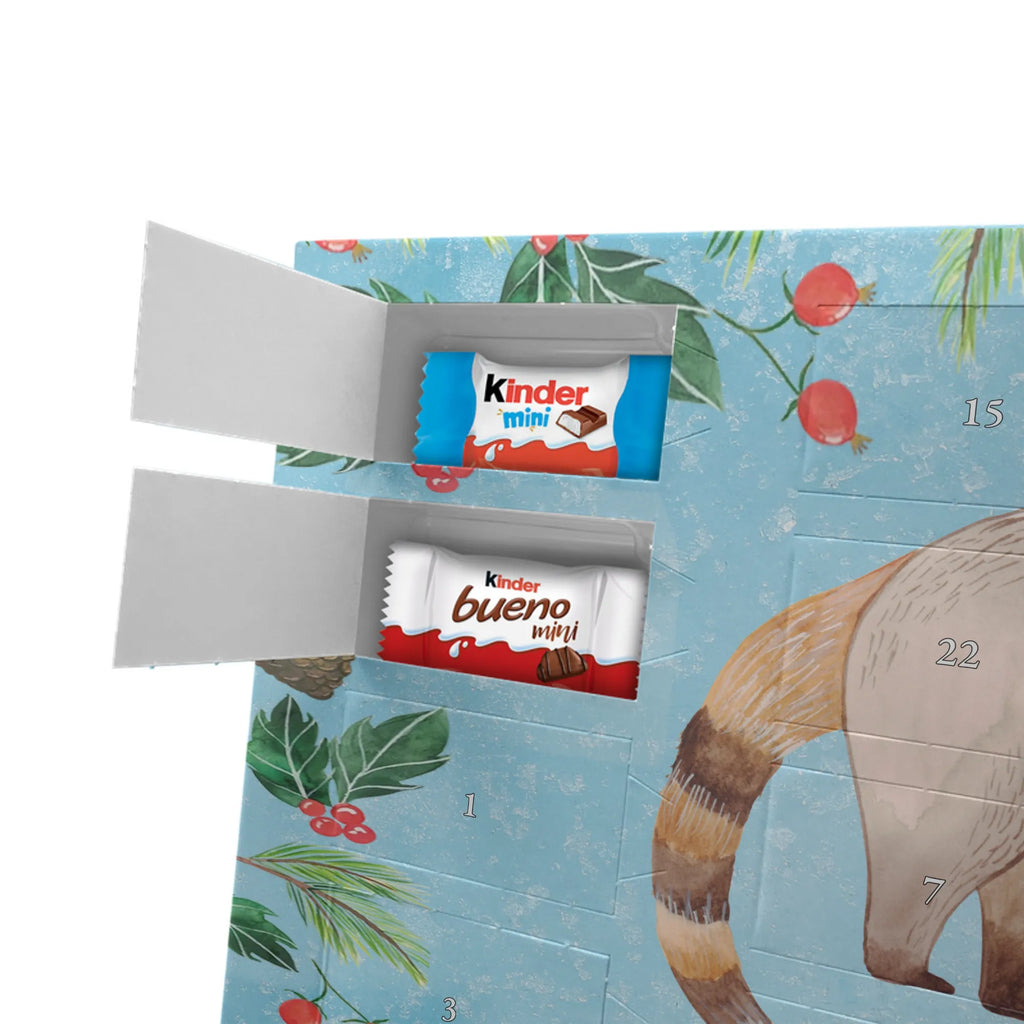 Chocolate advent calendar Coati gift ideas, gifts, small animals, good mood, cute, funny sayings, cute animal motives, hand drawn, special gifts, card, animal lover, Nose bear, trunk bear