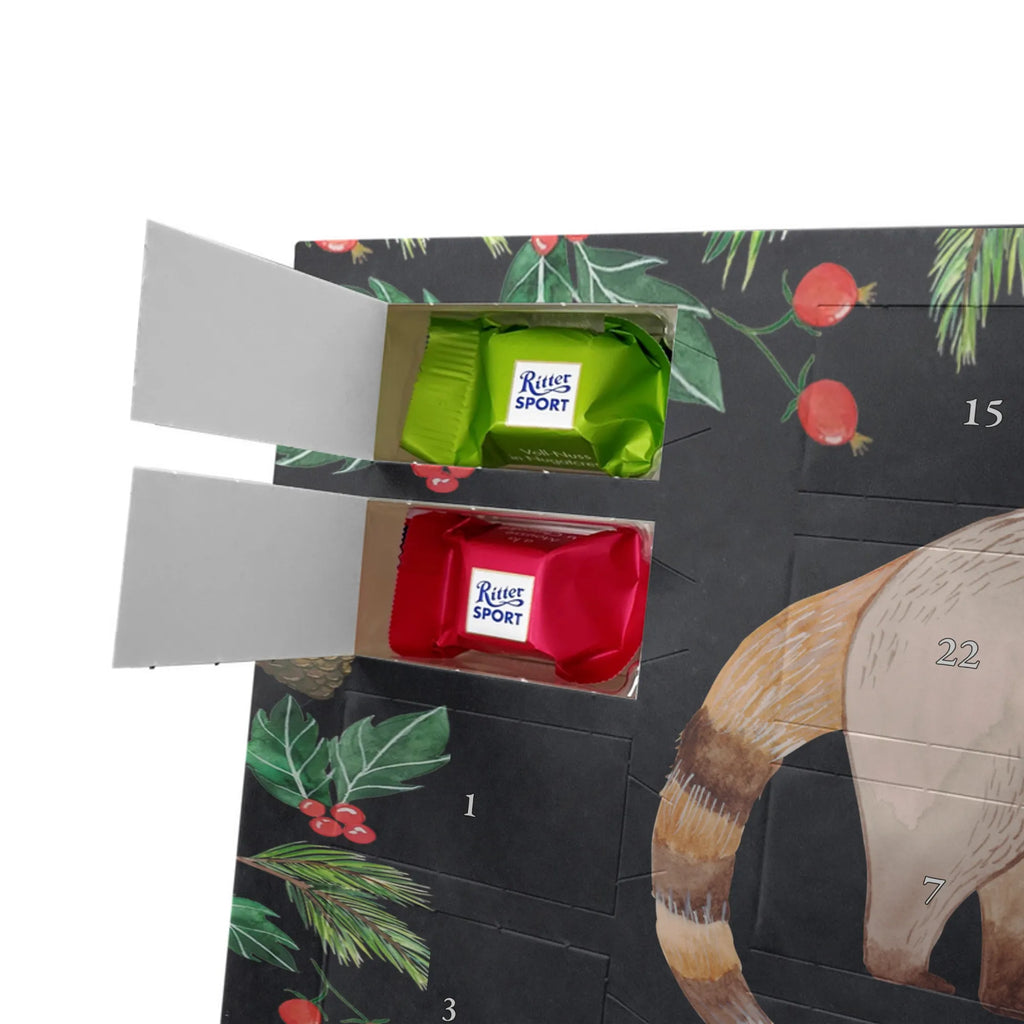 Chocolate advent calendar Coati gift ideas, gifts, small animals, good mood, cute, funny sayings, cute animal motives, hand drawn, special gifts, card, animal lover, Nose bear, trunk bear