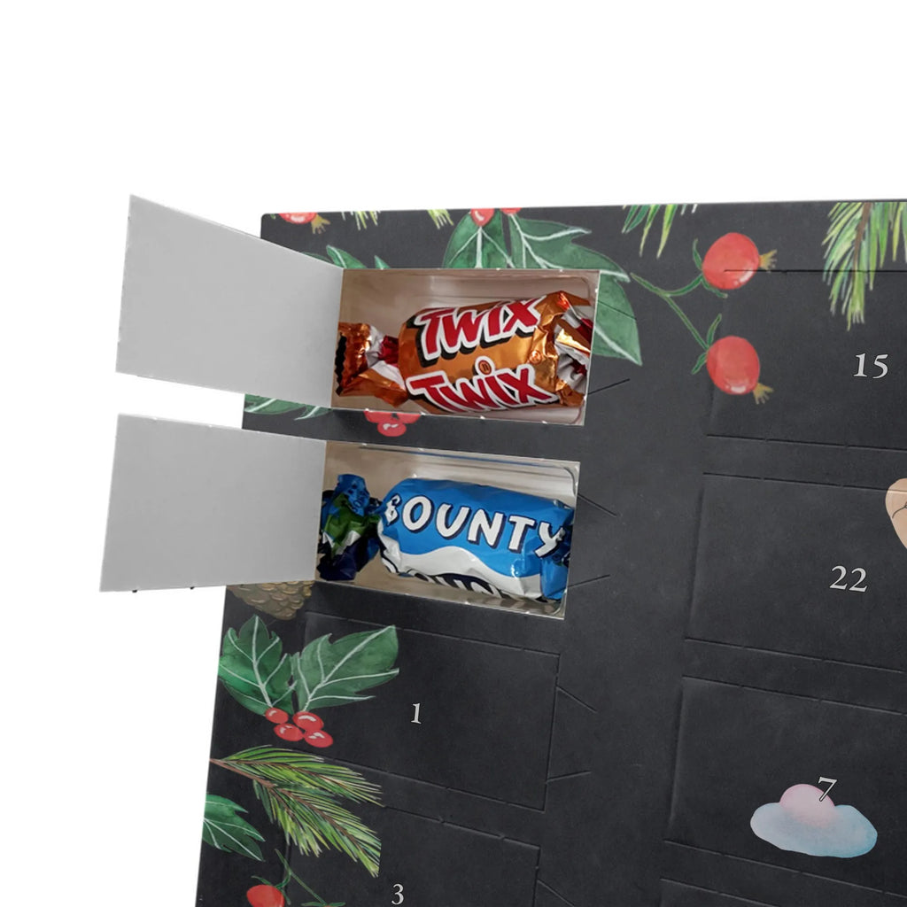 Chocolate advent calendar lama rainbow Llama, alpaca, trendy animal, Freedom, Cloud country, Outsider, School, Rainbow, Self-employed