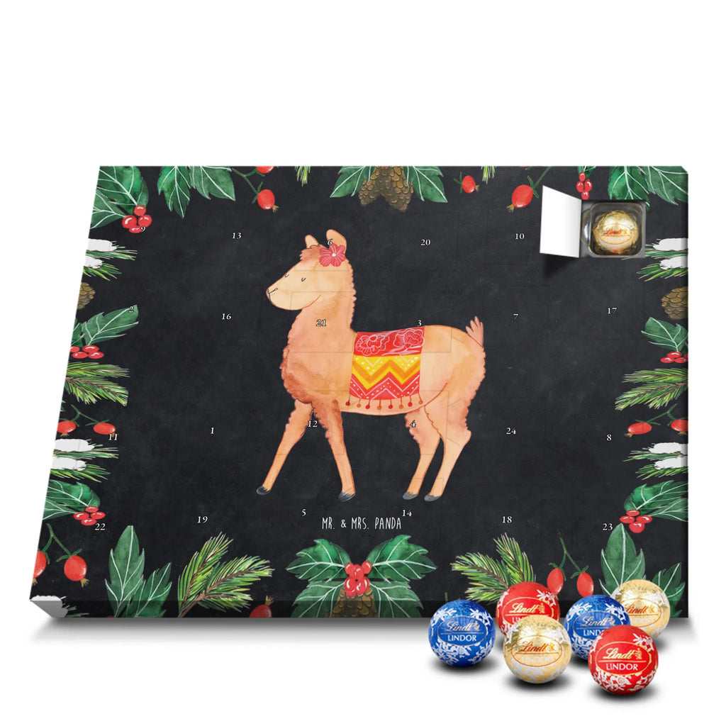  alpaka Dumny Alpaka, Lama