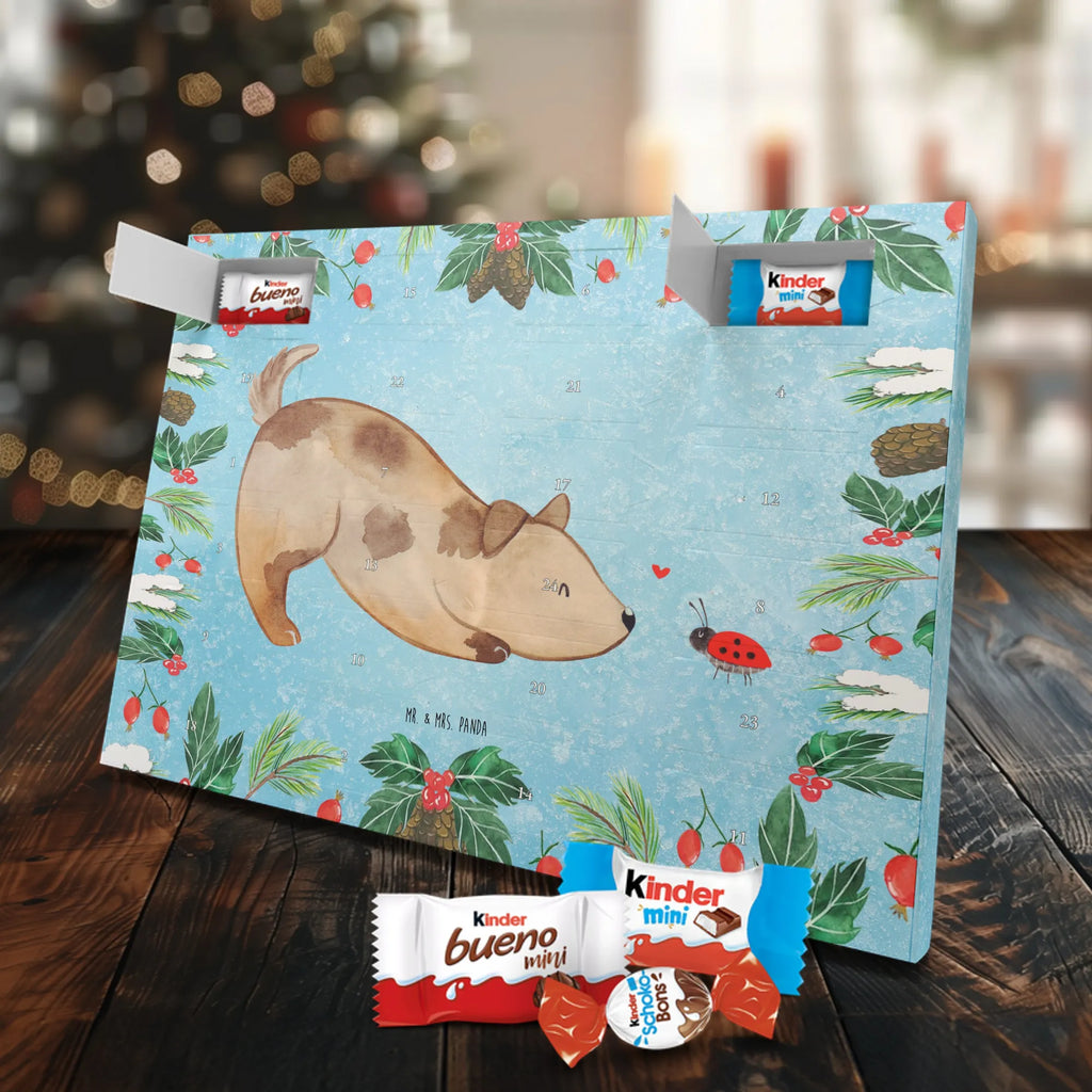 Chocolate advent calendar Dog ladybug mutt, dog sayings, love dogs, dog mama, funny gifts for dog owners, woof, what do you give a dog lover, dog breed, Christmas gifts for dogs, gifts for dogs, bag with dog print, love for dogs, hound, dog decorative items, Mongrel dog, Dog slogan, Ladybird, Sayings, Mongrel, Dogs