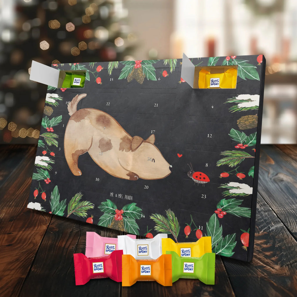 Chocolate advent calendar Dog ladybug mutt, dog sayings, love dogs, dog mama, funny gifts for dog owners, woof, what do you give a dog lover, dog breed, Christmas gifts for dogs, gifts for dogs, bag with dog print, love for dogs, hound, dog decorative items, Mongrel dog, Dog slogan, Ladybird, Sayings, Mongrel, Dogs