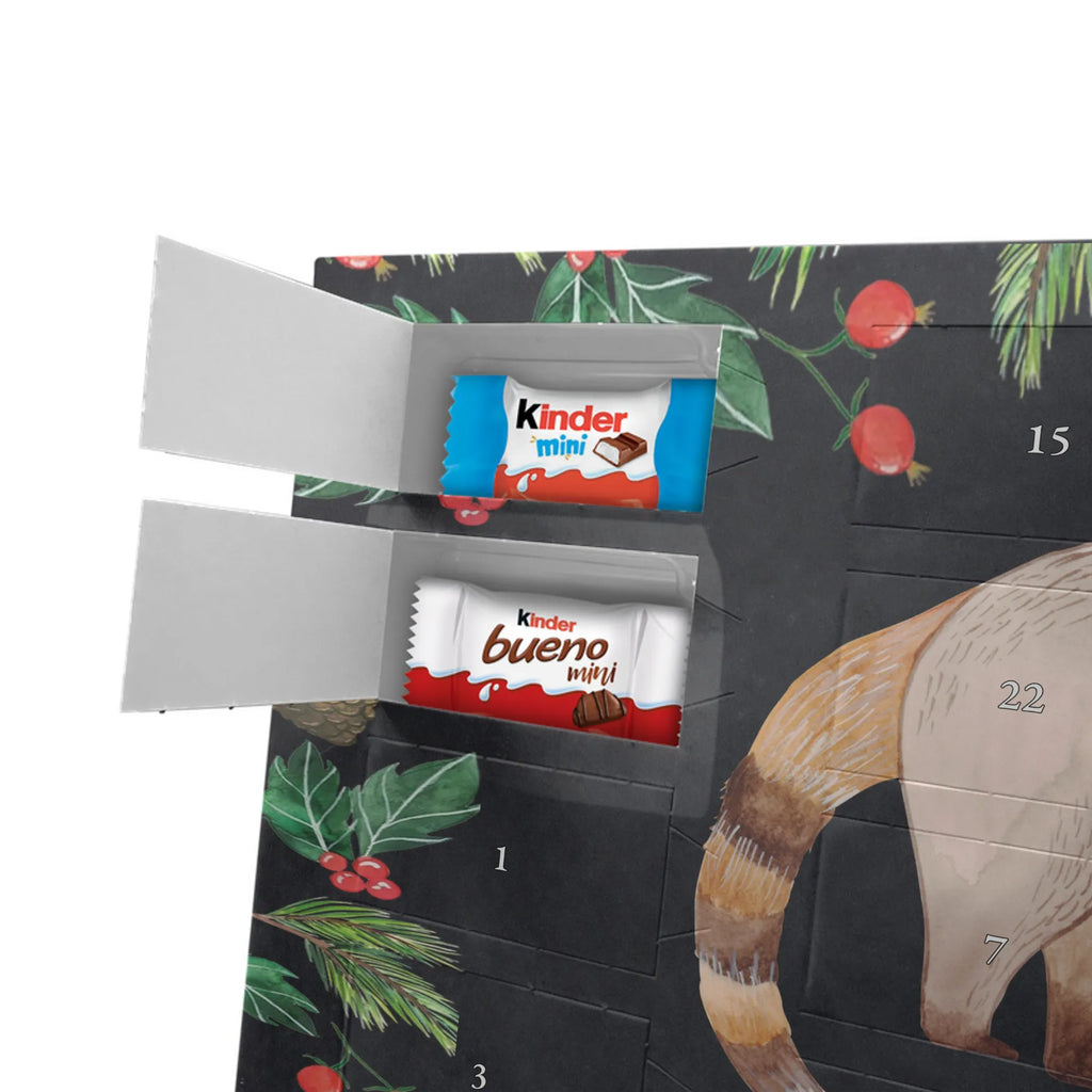 Chocolate advent calendar Coati gift ideas, gifts, small animals, good mood, cute, funny sayings, cute animal motives, hand drawn, special gifts, card, animal lover, Nose bear, trunk bear
