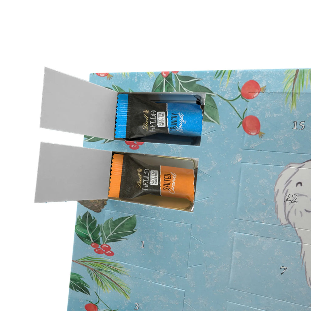  Maltańczyk Chwila szczeniak, miłośnik zwierząt, właściciel psa, pies rasowy, rasa psa, Pies, prezent, dawanie