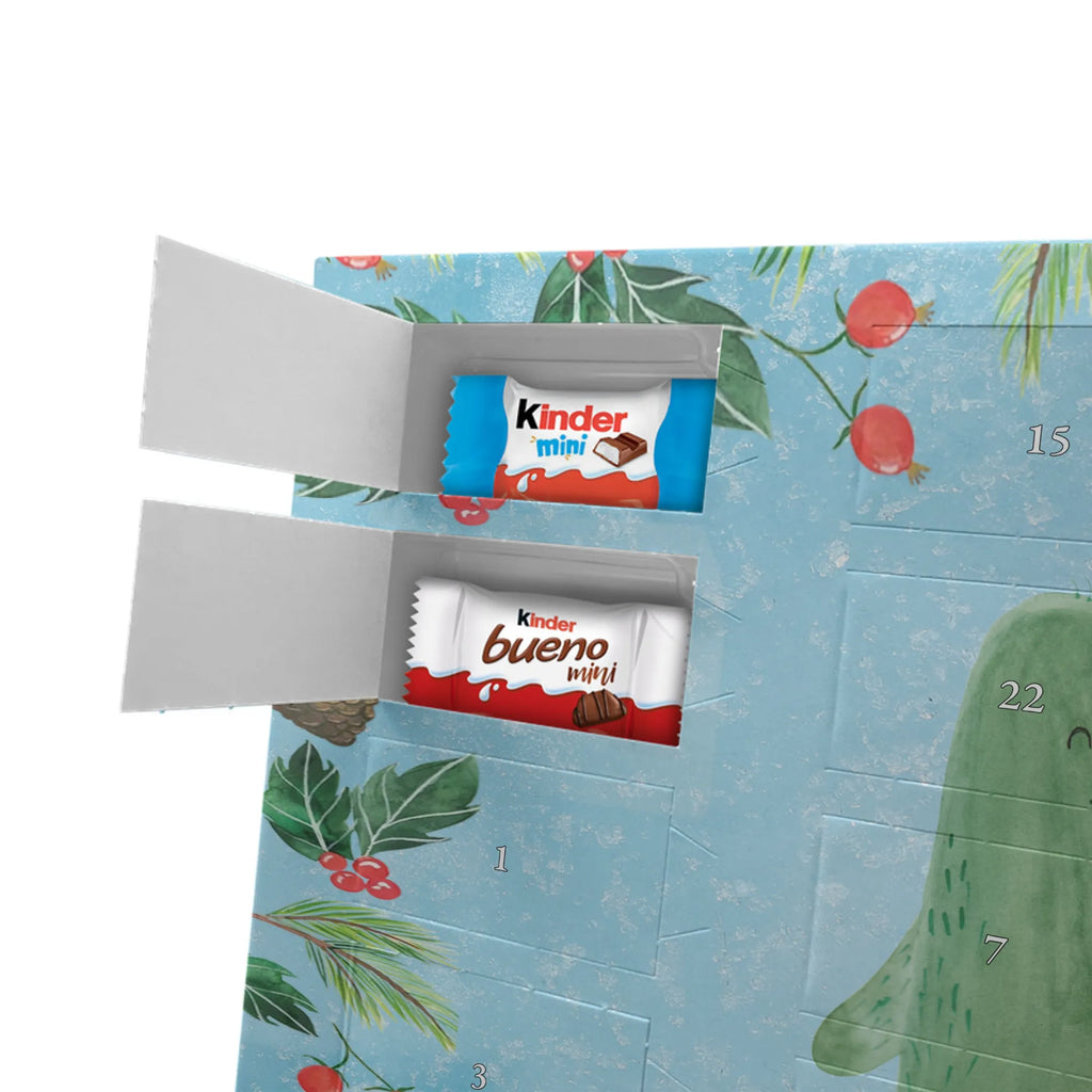 Chocolate advent calendar cactus Love cactus, cactuses, plants, small green cactus, cactus plant, couple, friendship, reconciliation, cactus love, proof of love, quarrel, love message, separation, wedding