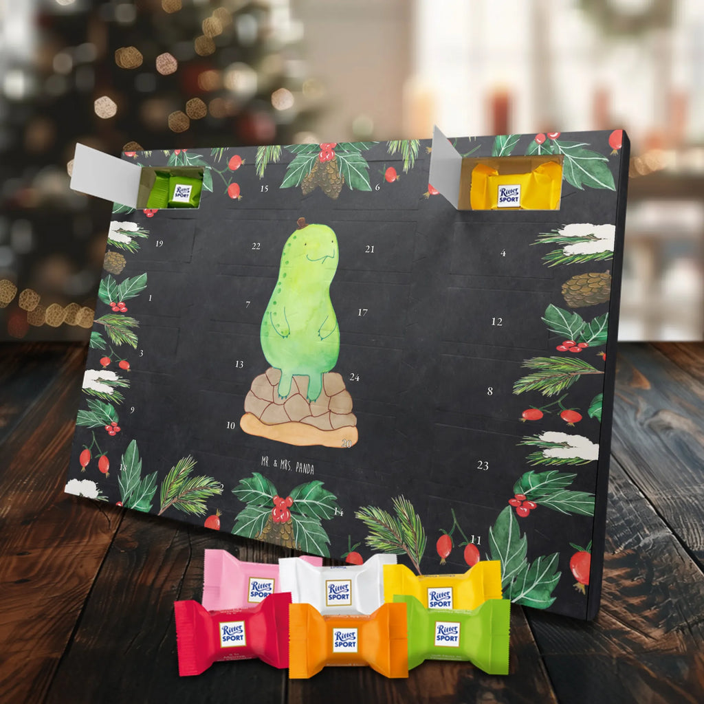 Chocolate advent calendar tortoise Break reptile, sister or daughter, sweet, gift ideas, tortoise, turtle gift items, illustrated, best friend, gift, turtle lover, pet turtles, funny turtle gifts, ancient creature, cute, birthday gift, mindful, decelerate