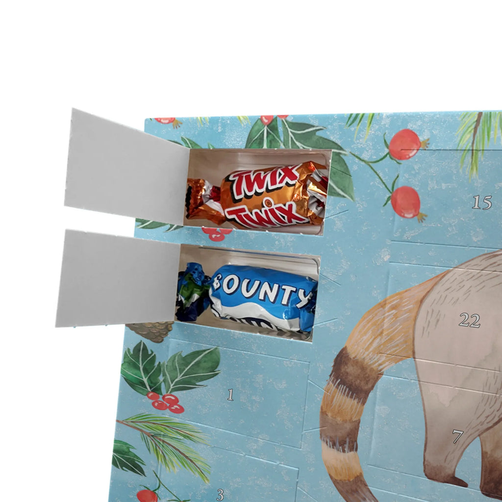 Chocolate advent calendar Coati gift ideas, gifts, small animals, good mood, cute, funny sayings, cute animal motives, hand drawn, special gifts, card, animal lover, Nose bear, trunk bear