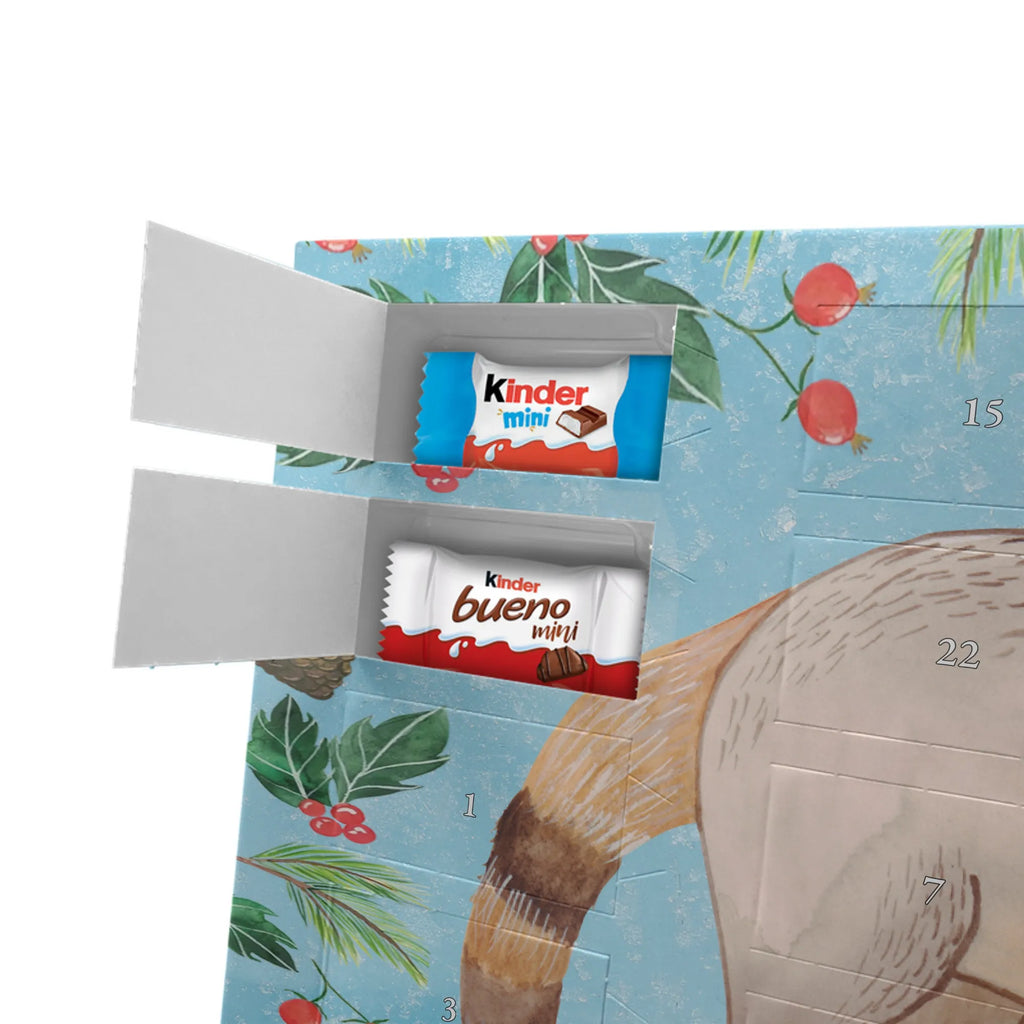Chocolate advent calendar Coati gift ideas, gifts, small animals, good mood, cute, funny sayings, cute animal motives, hand drawn, special gifts, card, animal lover, Nose bear, trunk bear