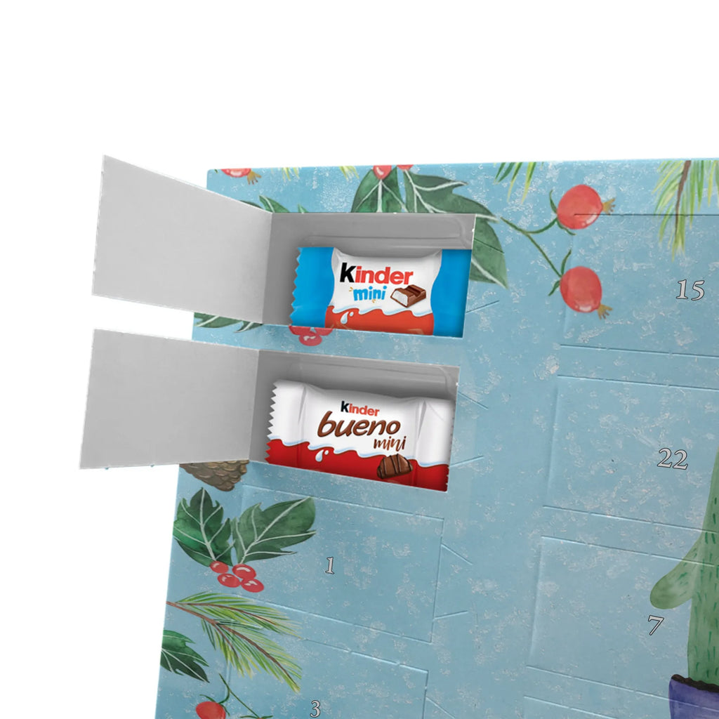 Chocolate advent calendar cactus Love cactus, cactuses, plants, small green cactus, cactus plant, couple, friendship, reconciliation, cactus love, proof of love, quarrel, love message, separation, wedding