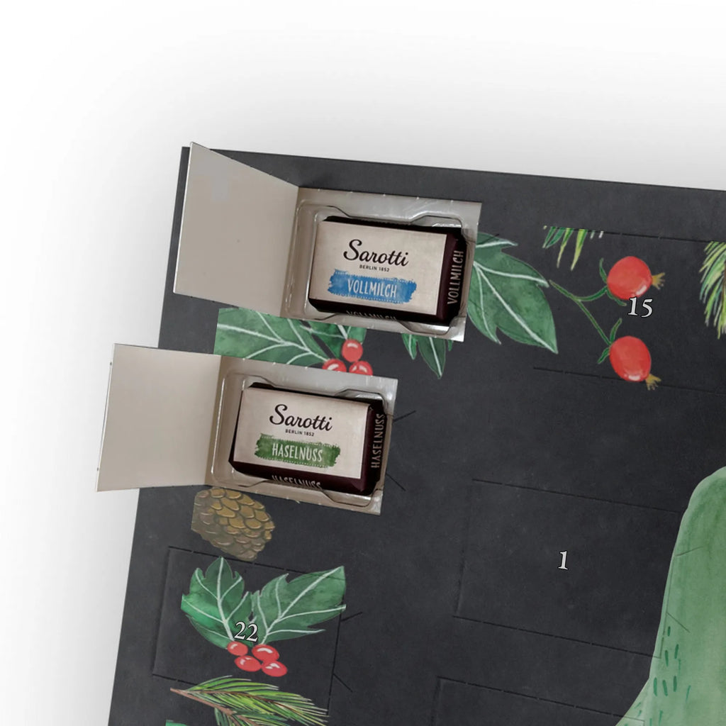 Chocolate advent calendar cactus Love cactus, cactuses, plants, small green cactus, cactus plant, couple, friendship, reconciliation, cactus love, proof of love, quarrel, love message, separation, wedding