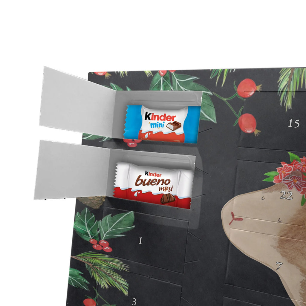 Chocolate advent calendar Guinea pig wisdom gift ideas, gifts, small animals, good mood, cute, funny sayings, cute animal motives, hand drawn, special gifts, card, animal lover, wonderland, flower child, reality, guinea pig, wonder, wisdom, saying