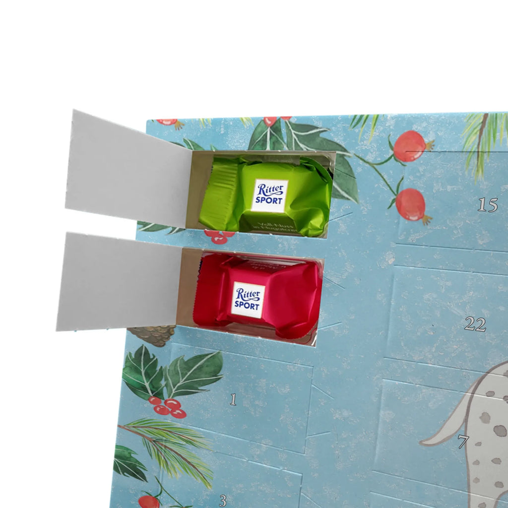 Chocolate advent calendar Dalmatian moment puppy, dog owner, purebred dog, dog breed, giving, animal lover, gift