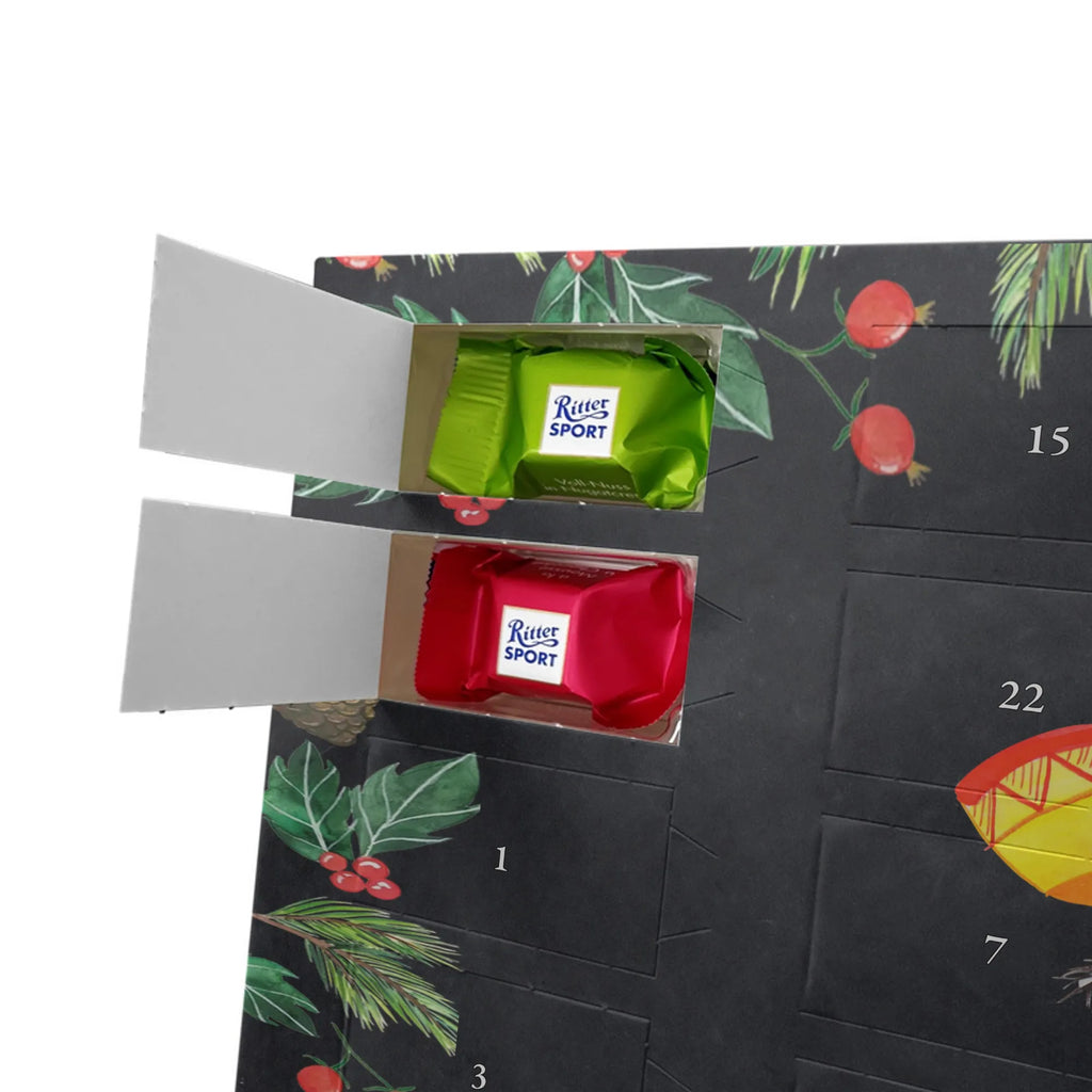 Chocolate advent calendar axolotl tequila Mexican walking fish, Axelotl, marine animals, salamander, Fire Salamander, Fire Dragon, Lemon, Amphibian, Tail Lurch, Saying