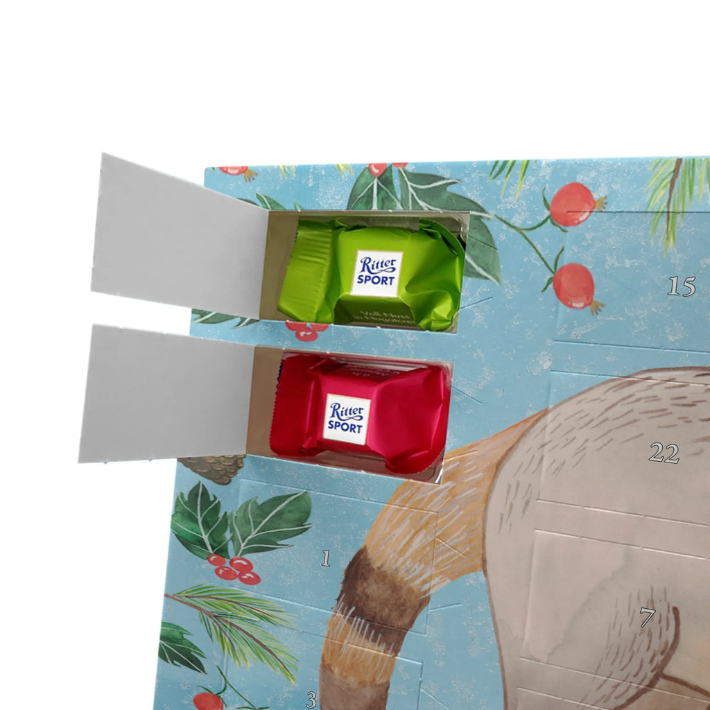 Chocolate advent calendar Coati gift ideas, gifts, small animals, good mood, cute, funny sayings, cute animal motives, hand drawn, special gifts, card, animal lover, Nose bear, trunk bear