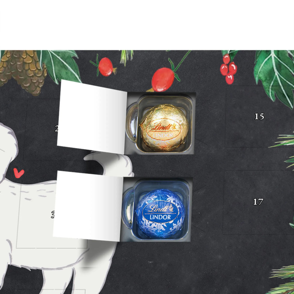  Maltańczyk Chwila szczeniak, miłośnik zwierząt, właściciel psa, pies rasowy, rasa psa, Pies, prezent, dawanie