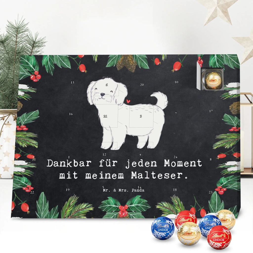  Maltańczyk Chwila szczeniak, miłośnik zwierząt, właściciel psa, pies rasowy, rasa psa, Pies, prezent, dawanie