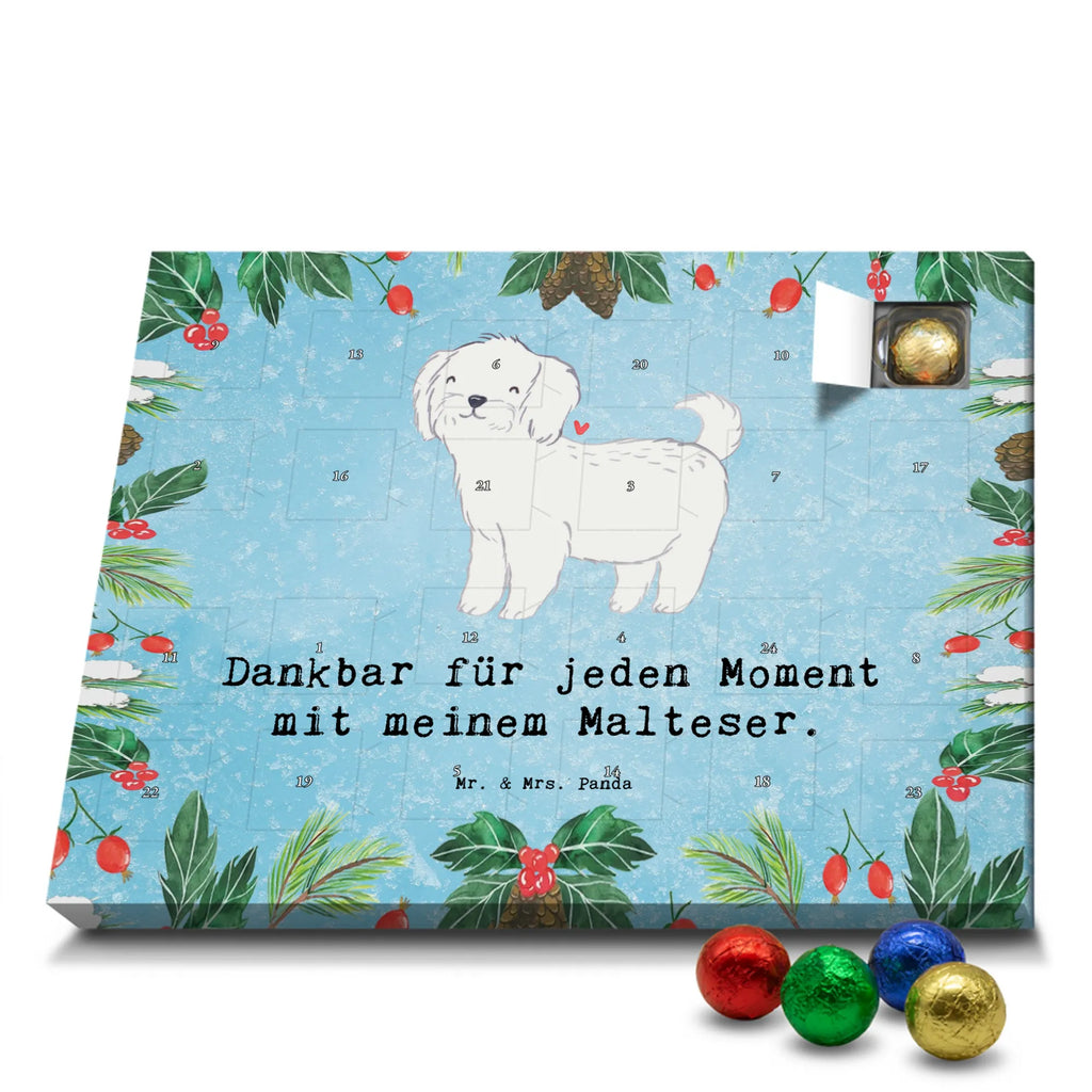  Maltańczyk Chwila szczeniak, miłośnik zwierząt, właściciel psa, pies rasowy, rasa psa, Pies, prezent, dawanie