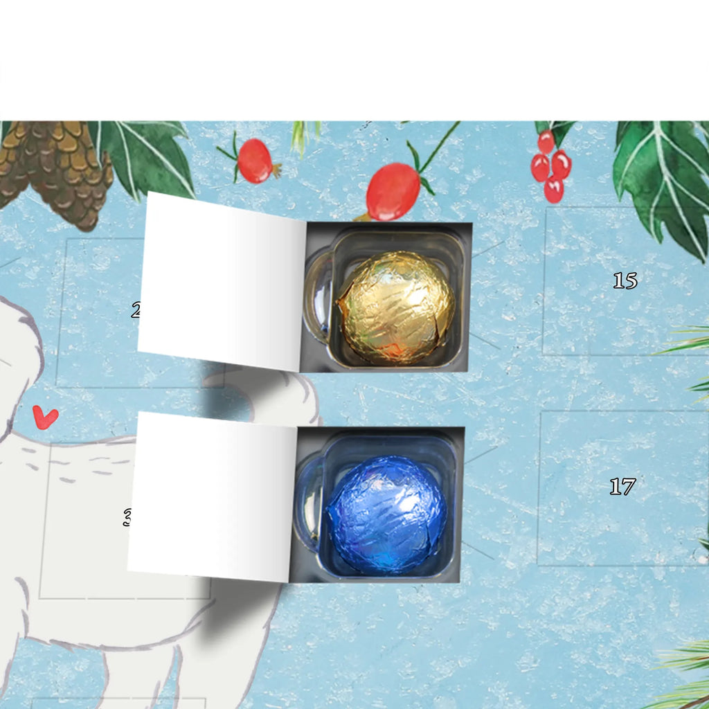  Maltańczyk Chwila szczeniak, miłośnik zwierząt, właściciel psa, pies rasowy, rasa psa, Pies, prezent, dawanie