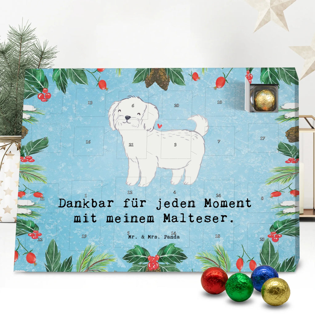  Maltańczyk Chwila szczeniak, miłośnik zwierząt, właściciel psa, pies rasowy, rasa psa, Pies, prezent, dawanie