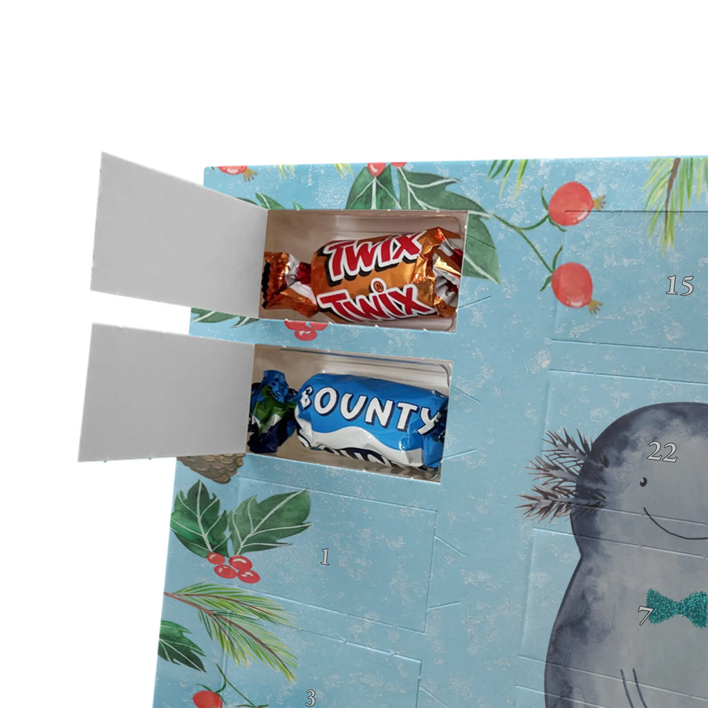 Chocolate advent calendar axolotl Girlfriend Mexican walking fish, Axelotl, marine animals, salamander, amphibian, husband, valentine's day, great love, friend, tail, fiancé, anniversary, proof of love
