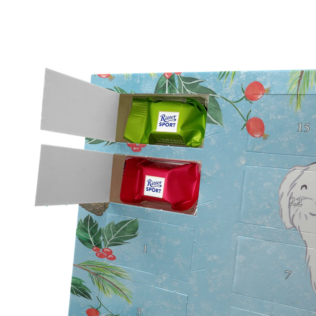  Maltańczyk Chwila szczeniak, miłośnik zwierząt, właściciel psa, pies rasowy, rasa psa, Pies, prezent, dawanie