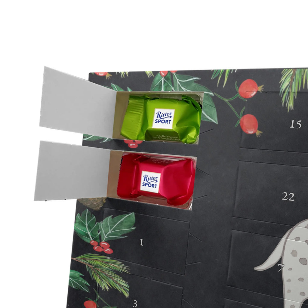 Chocolate advent calendar Dalmatian moment puppy, dog owner, purebred dog, dog breed, giving, animal lover, gift