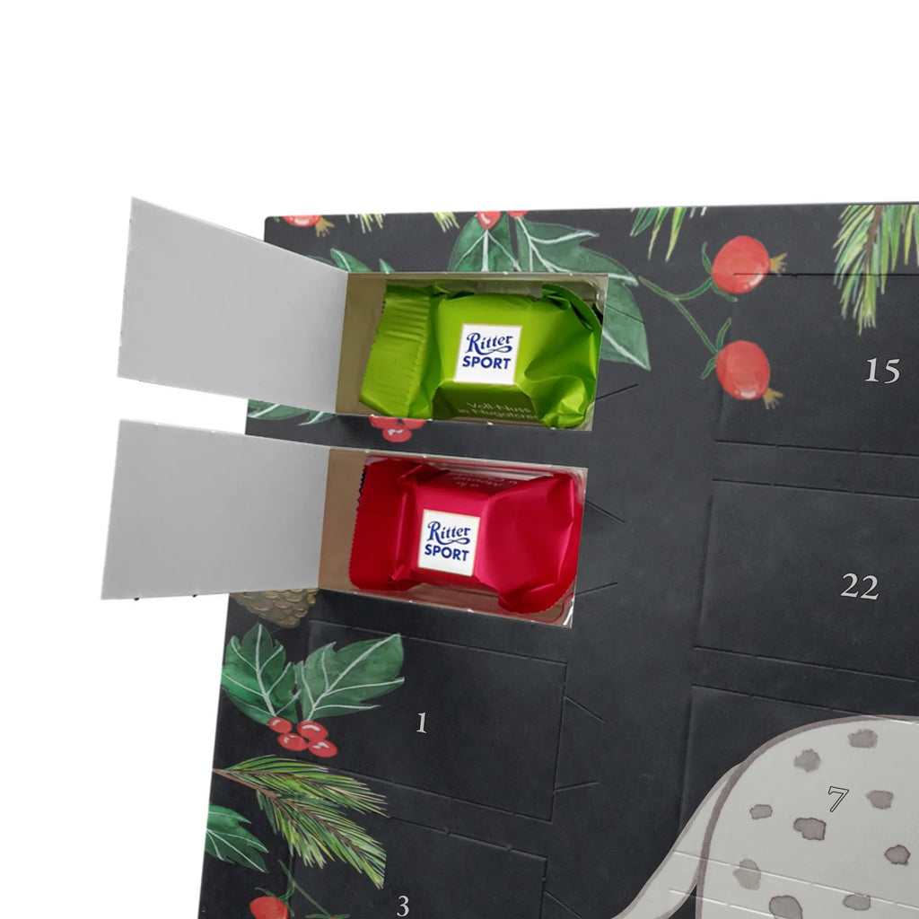 Chocolate advent calendar Dalmatian moment puppy, dog owner, purebred dog, dog breed, giving, animal lover, gift