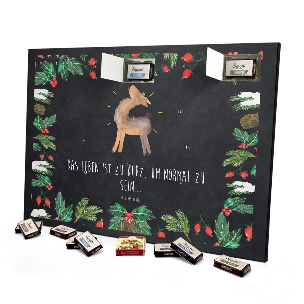 Chocolate advent calendar lama Proud Llama, alpaca, trendy animal, Girlfriend, Different, Best friend, Proud, Llamas, Outsider, Girlfriends, New start