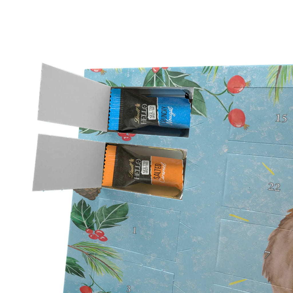 Chocolate advent calendar lama Proud Llama, alpaca, trendy animal, Girlfriend, Different, Best friend, Proud, Llamas, Outsider, Girlfriends, New start