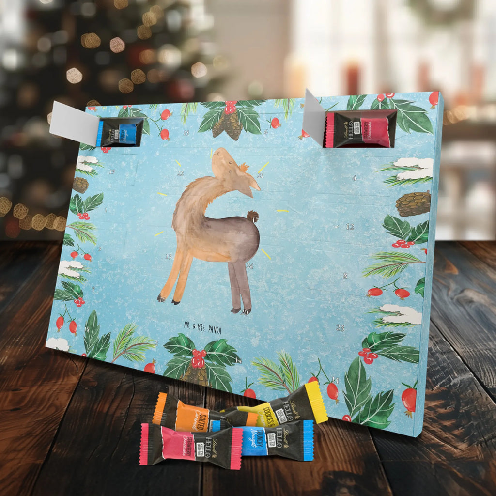 Chocolate advent calendar lama Proud Llama, alpaca, trendy animal, Girlfriend, Different, Best friend, Proud, Llamas, Outsider, Girlfriends, New start