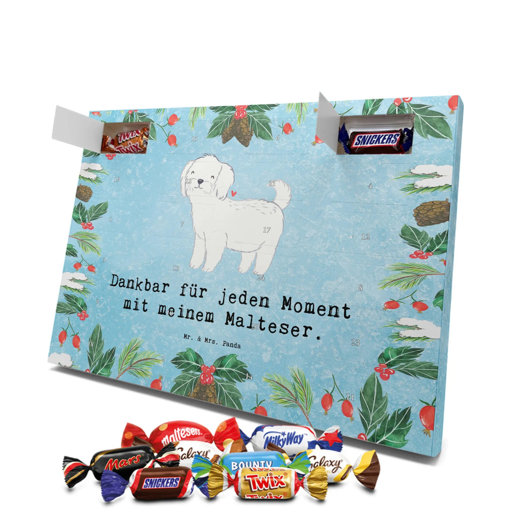  Maltańczyk Chwila szczeniak, miłośnik zwierząt, właściciel psa, pies rasowy, rasa psa, Pies, prezent, dawanie