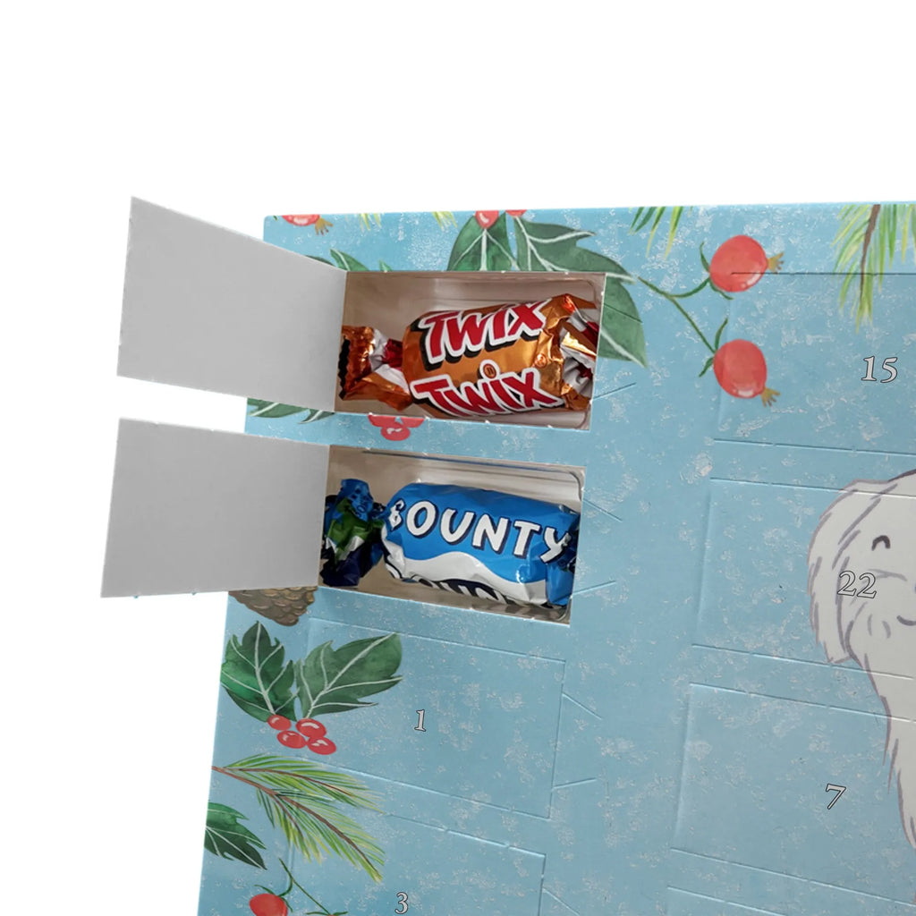  Maltańczyk Chwila szczeniak, miłośnik zwierząt, właściciel psa, pies rasowy, rasa psa, Pies, prezent, dawanie