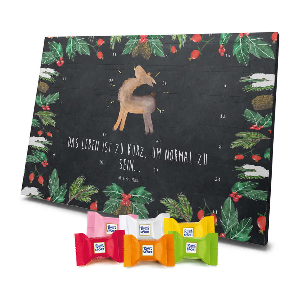 Chocolate advent calendar lama Proud Llama, alpaca, trendy animal, Girlfriend, Different, Best friend, Proud, Llamas, Outsider, Girlfriends, New start