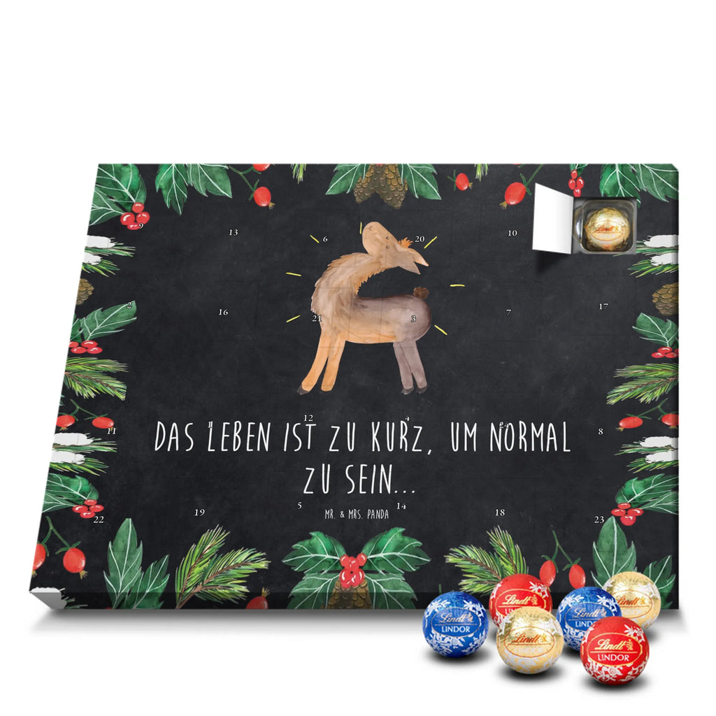 Chocolate advent calendar lama Proud Llama, alpaca, trendy animal, Girlfriend, Different, Best friend, Proud, Llamas, Outsider, Girlfriends, New start
