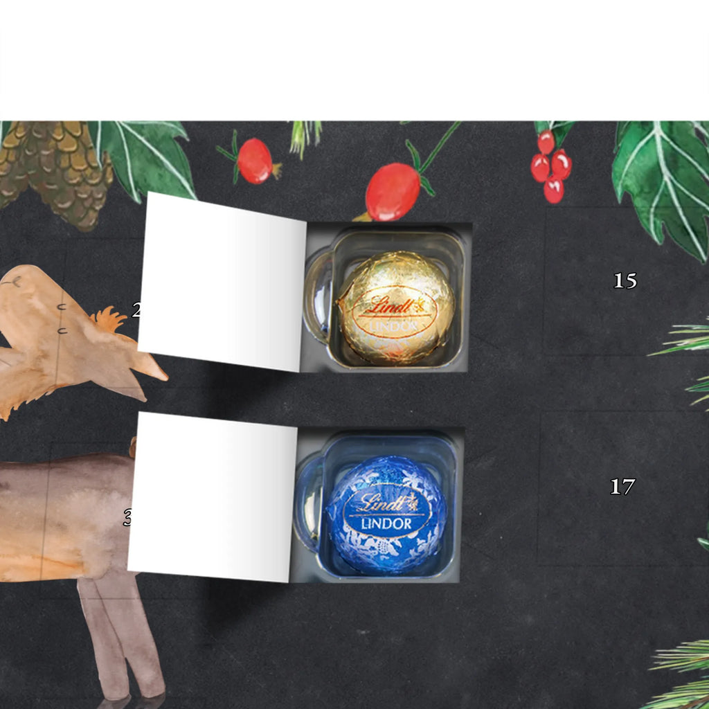 Chocolate advent calendar lama Proud Llama, alpaca, trendy animal, Girlfriend, Different, Best friend, Proud, Llamas, Outsider, Girlfriends, New start