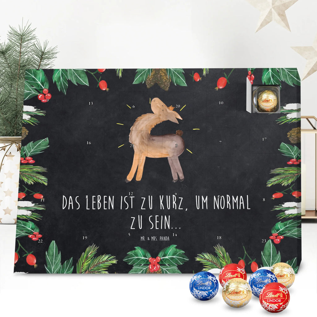 Chocolate advent calendar lama Proud Llama, alpaca, trendy animal, Girlfriend, Different, Best friend, Proud, Llamas, Outsider, Girlfriends, New start